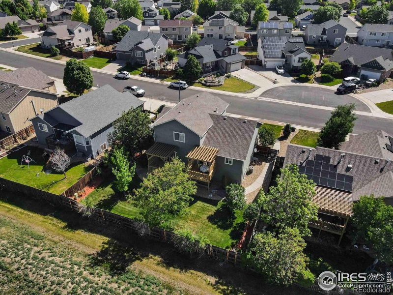 309 Windflower Way, Severance, CO 80550