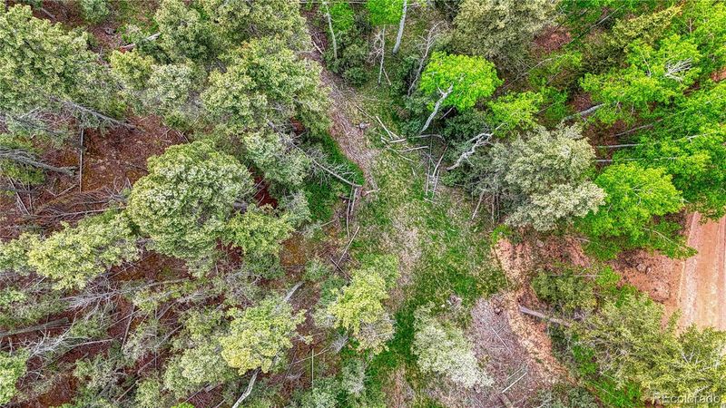 52 Idlewild Dr, Cripple Creek, CO 80813