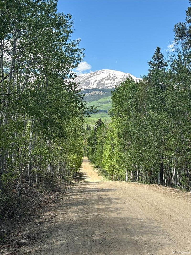 738 Lodgepole Dr, Twin Lakes, CO 81251