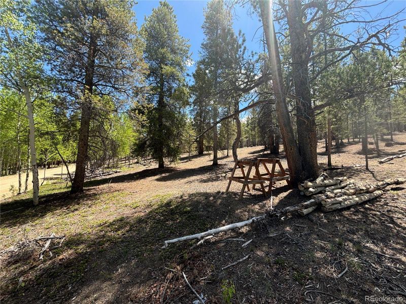 738 Lodgepole Dr, Twin Lakes, CO 81251