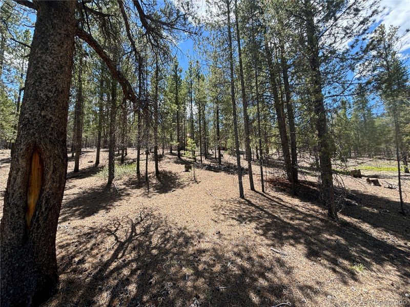 738 Lodgepole Dr, Twin Lakes, CO 81251