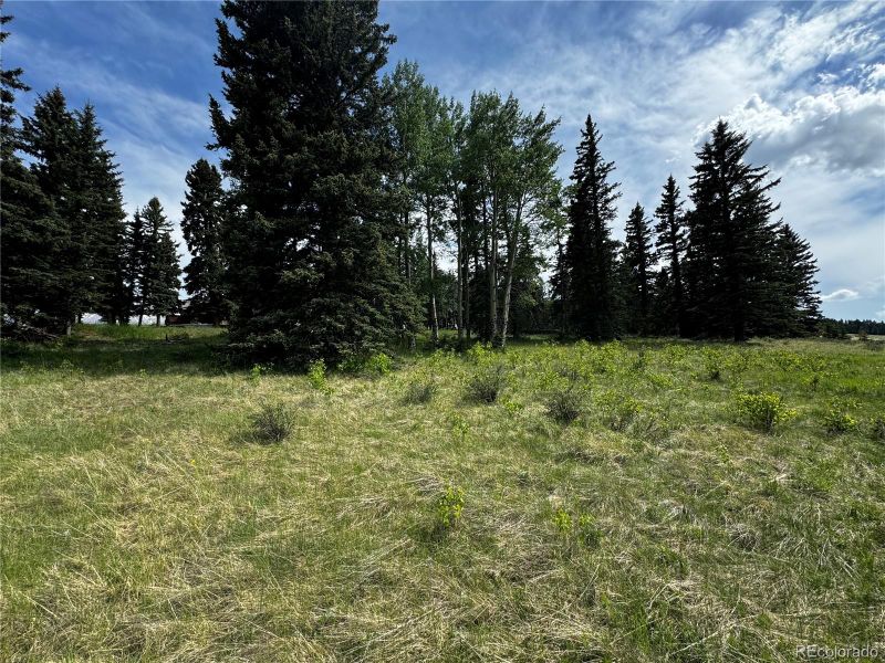 199 Joshua Rd, Divide, CO 80814