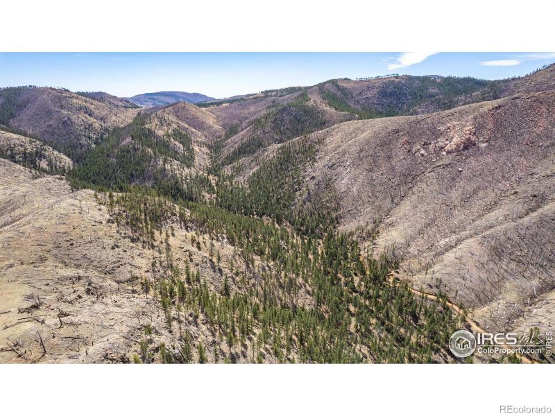 0 Stratton Park Lot 13 Rd, Bellvue, CO 80512