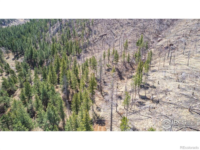 0 Tbd Stratton Park Rd Lot 12, Bellvue, CO 80512