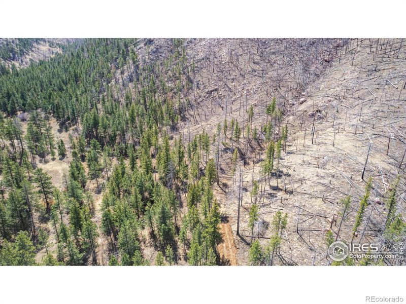 0 Tbd Stratton Park Rd Lot 12, Bellvue, CO 80512