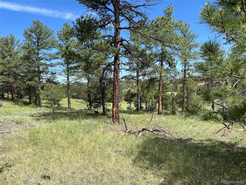 1012 Iron Mountain Rd, Cotopaxi, CO 81223
