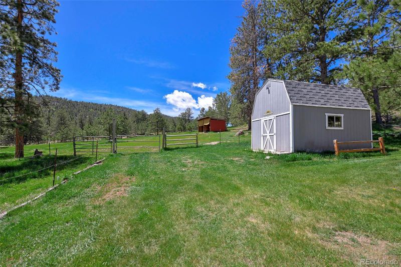 201 Campbell Ln, Guffey, CO 80820