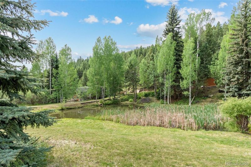 348 Brookside Dr, Bailey, CO 80421