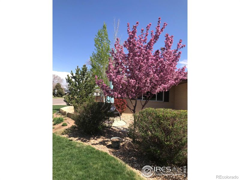 2127 14th St Rd, Greeley, CO 80631