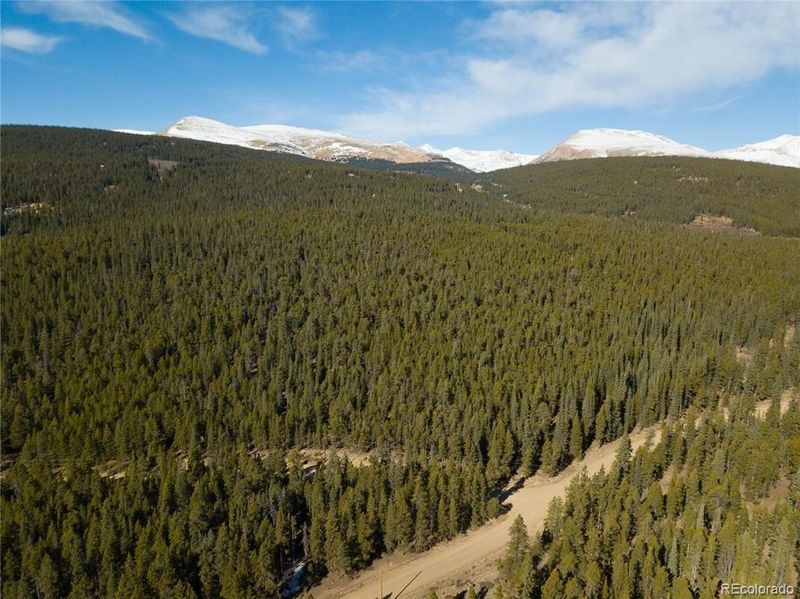2930 Lakeside Dr, Fairplay, CO 80440
