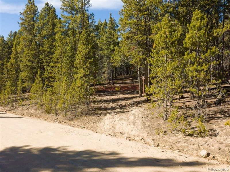 2930 Lakeside Dr, Fairplay, CO 80440