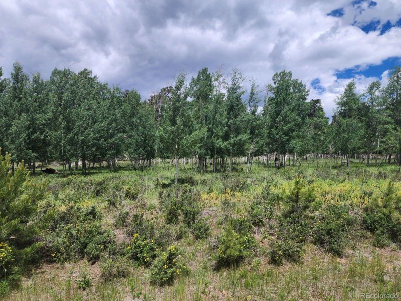0 Whale Dr, Lake George, CO 80827