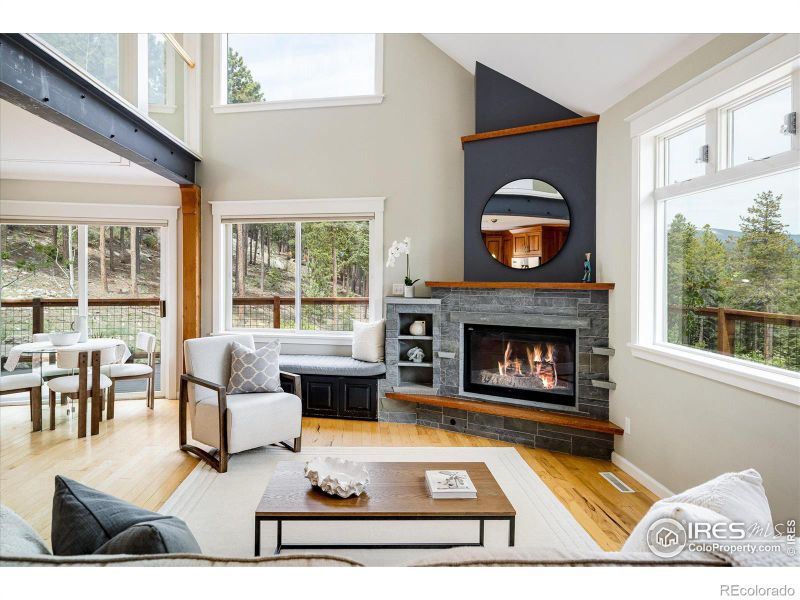 251 Shady Hl, Nederland, CO 80466
