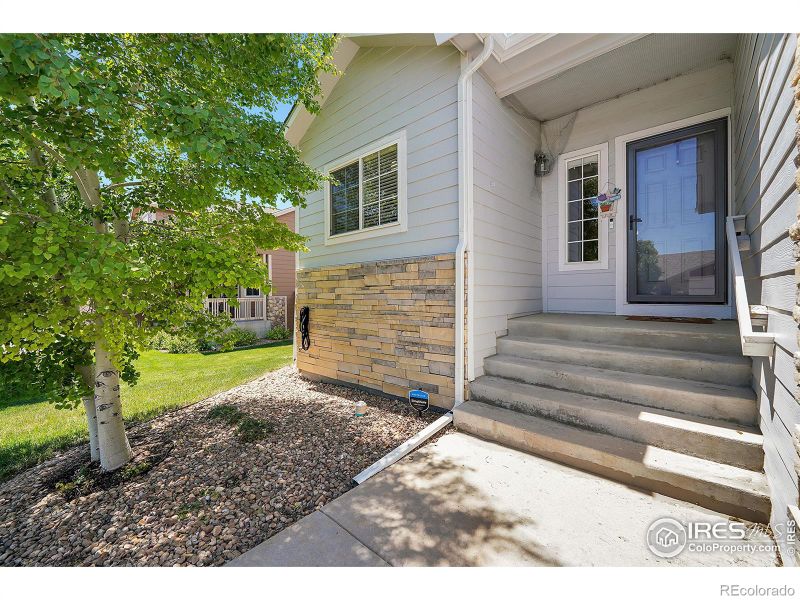 1925 Mahogany Way, Severance, CO 80550
