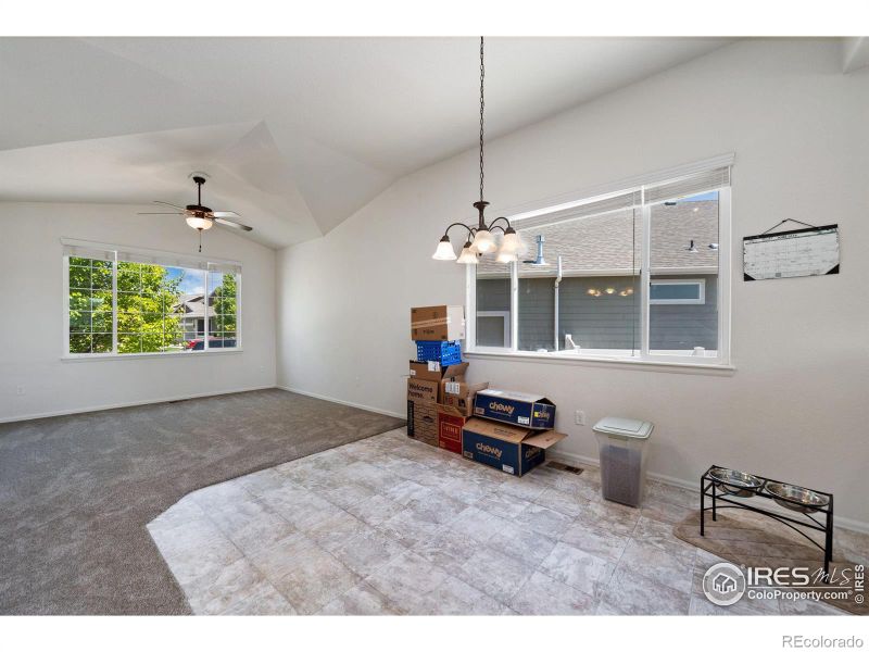 247 Pinebrook Ct, Windsor, CO 80550