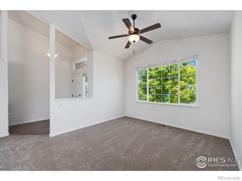 247 Pinebrook Ct, Windsor, CO 80550