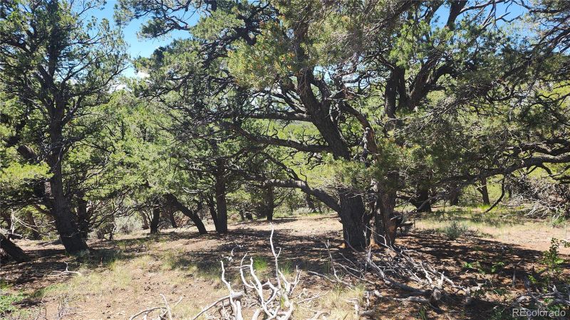 4532 Villa Rd, Fort Garland, CO 81133