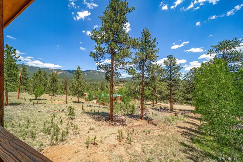 140 Taylor St, Bailey, CO 80421