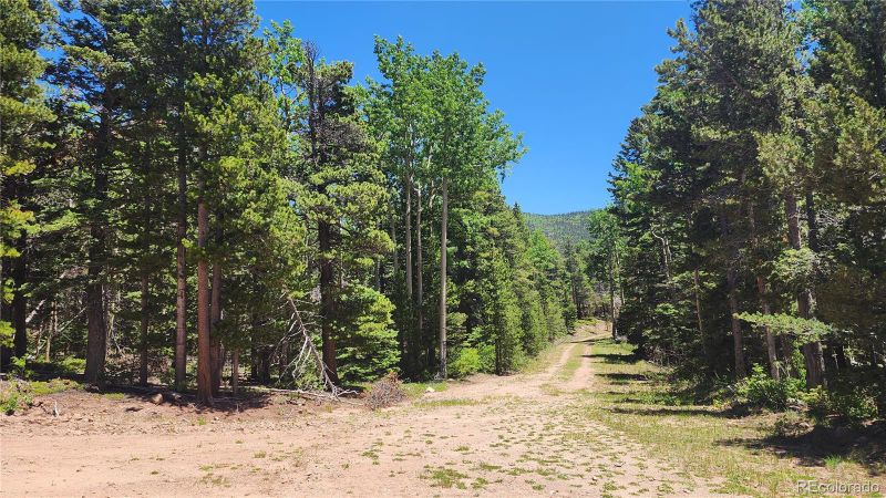 3208 Zipf Ln, Fort Garland, CO 81133