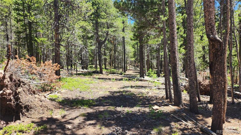3208 Zipf Ln, Fort Garland, CO 81133