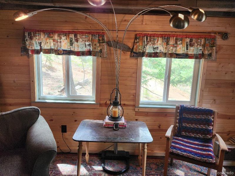 114 Appleby St, Bailey, CO 80421