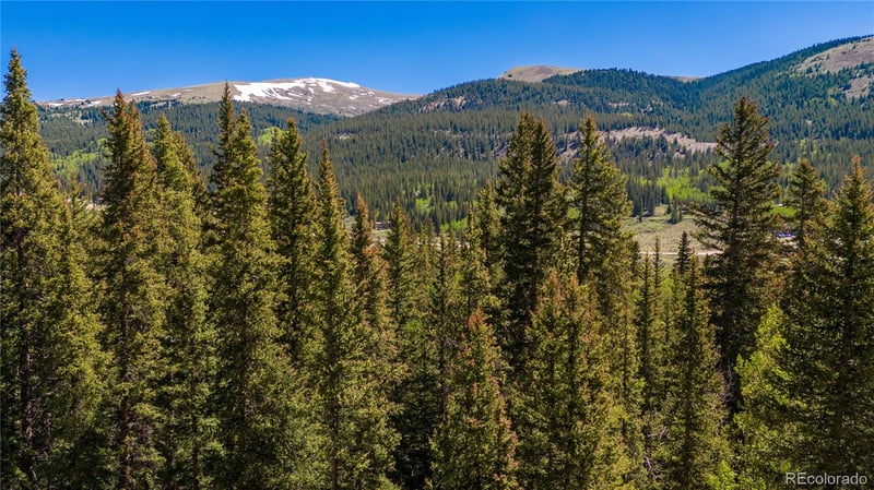 797 Peterson Dr Lot 11, Fairplay, CO 80440