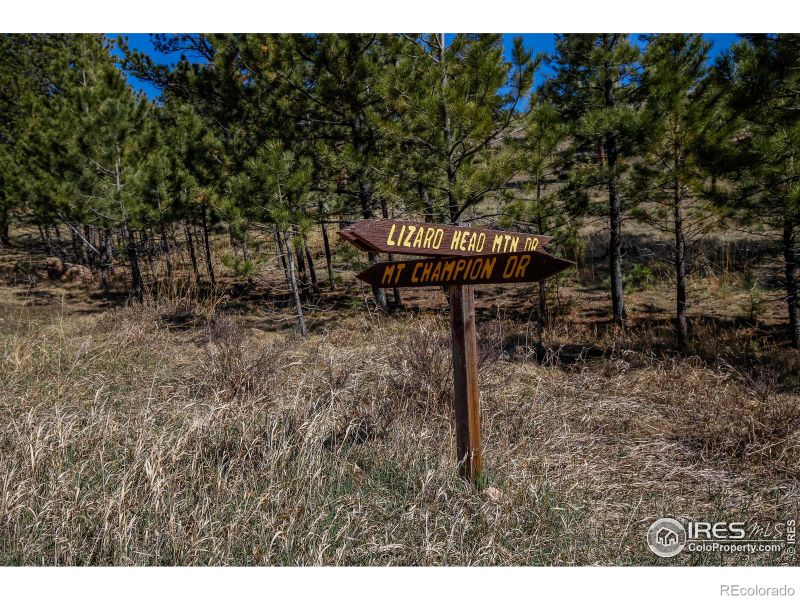 837 Mount Champion Dr, Livermore, CO 80536