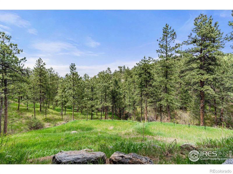 463 Timber Ln, Boulder, CO 80304