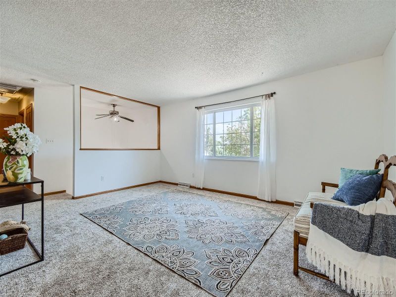 10043 E 157th Pl, Brighton, CO 80602