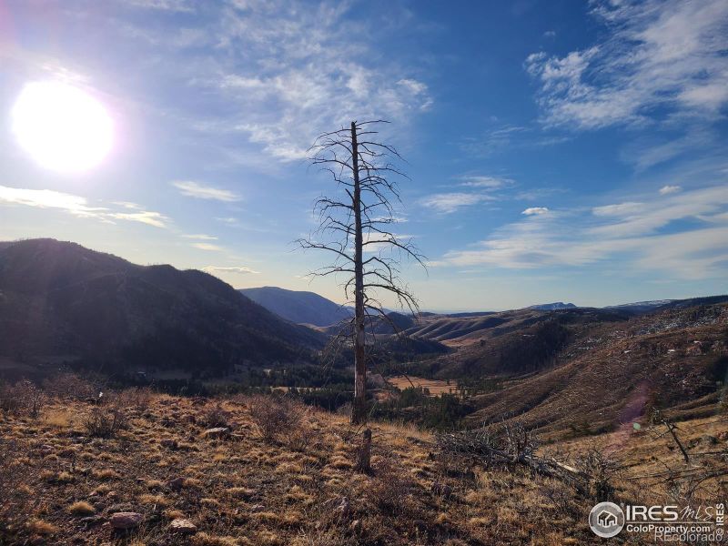 1013 Paradise Park Rd, Bellvue, CO 80512