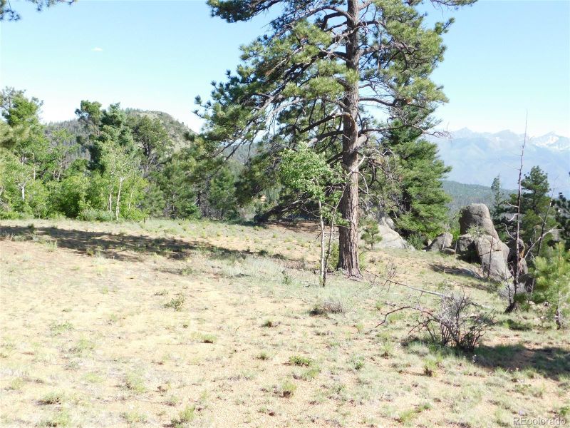Turkey Springs Dr, Cotopaxi, CO 81223