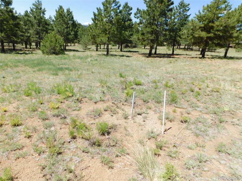 Turkey Springs Dr, Cotopaxi, CO 81223