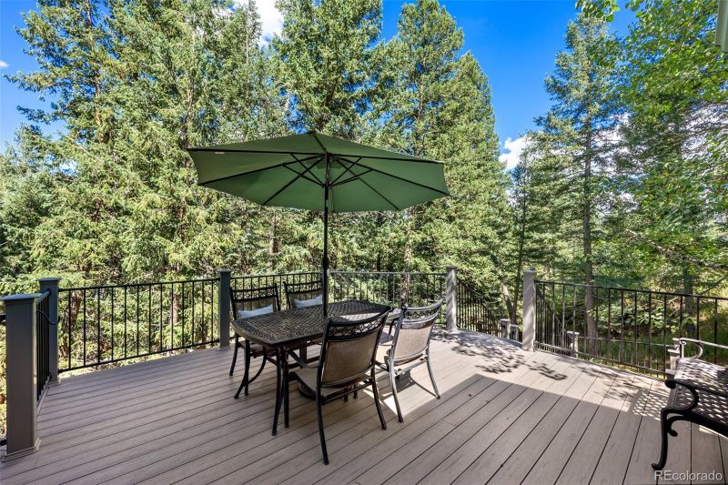 266 Cottonwood Dr, Evergreen, CO 80439