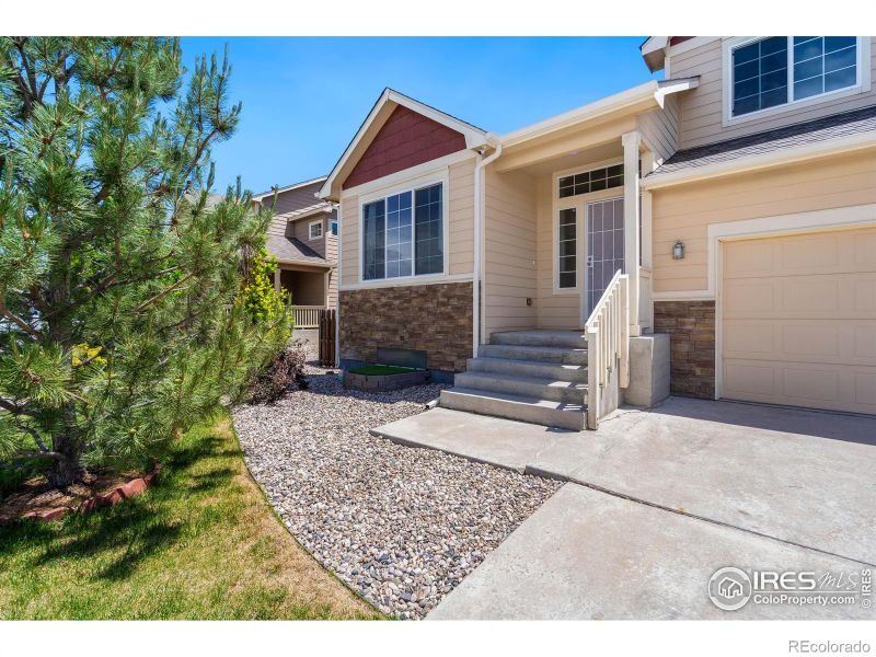7346 Ocean Ridge St, Wellington, CO 80549