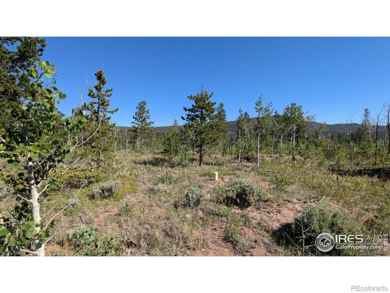 264 Huron Rd, Red Feather Lakes, CO 80545