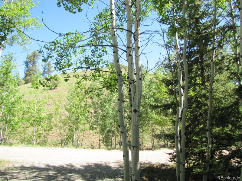 635 Depot Dr, Hartsel, CO 80449