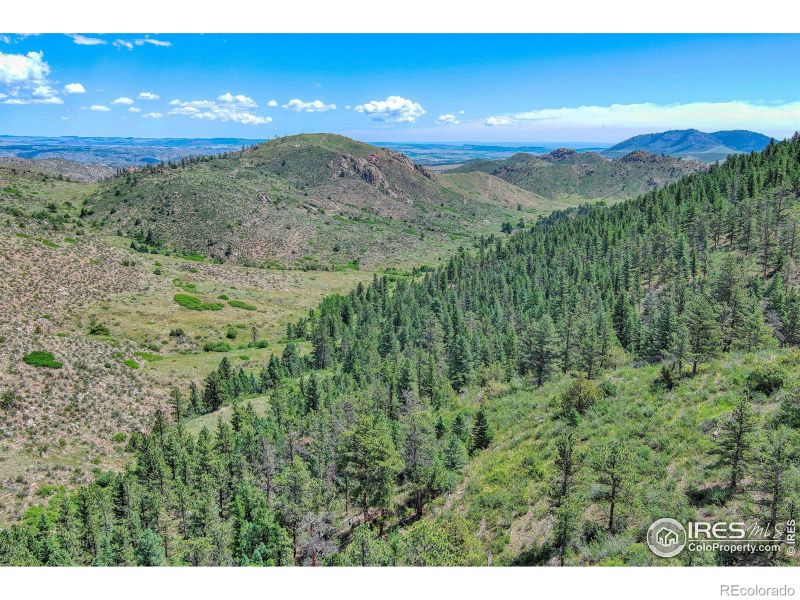 0 Mt Simon Rd, Livermore, CO 80536