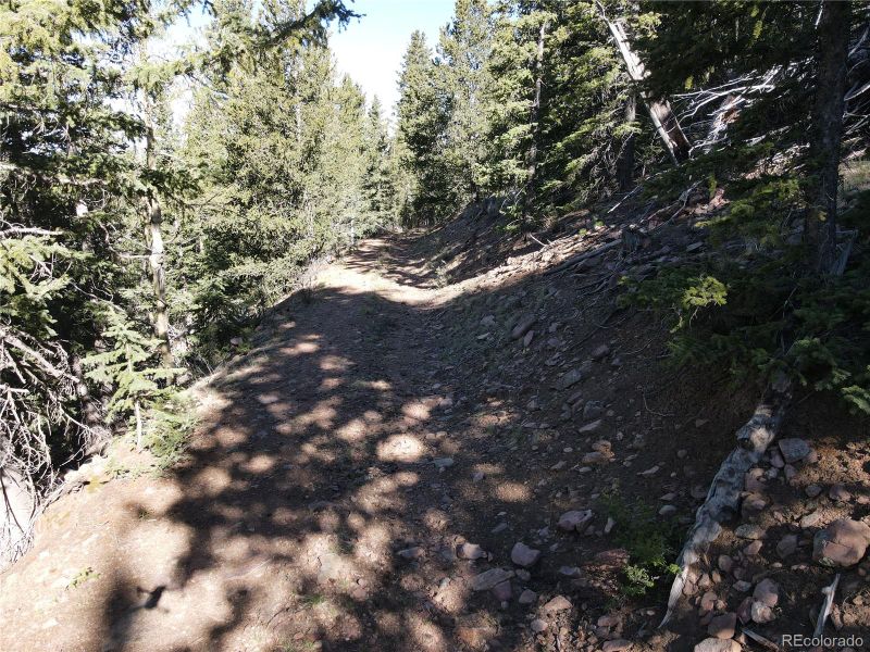 Cow Mountain Group 3, Cripple Creek, CO 80813
