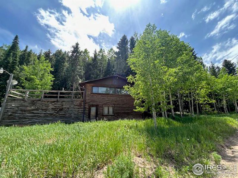 79 Beaver Creek Dr, Nederland, CO 80466