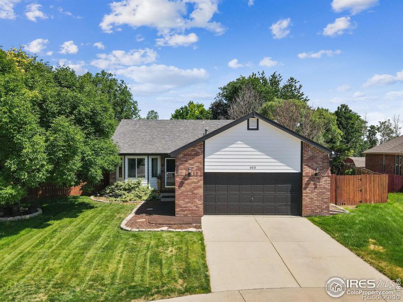 603 Hemlock Dr, Windsor, CO 80550