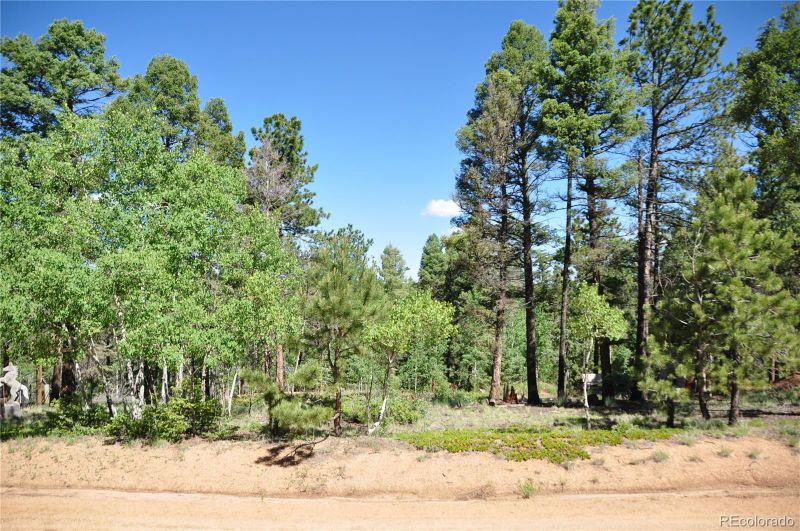 1271 Rangeview Rd, Divide, CO 80814