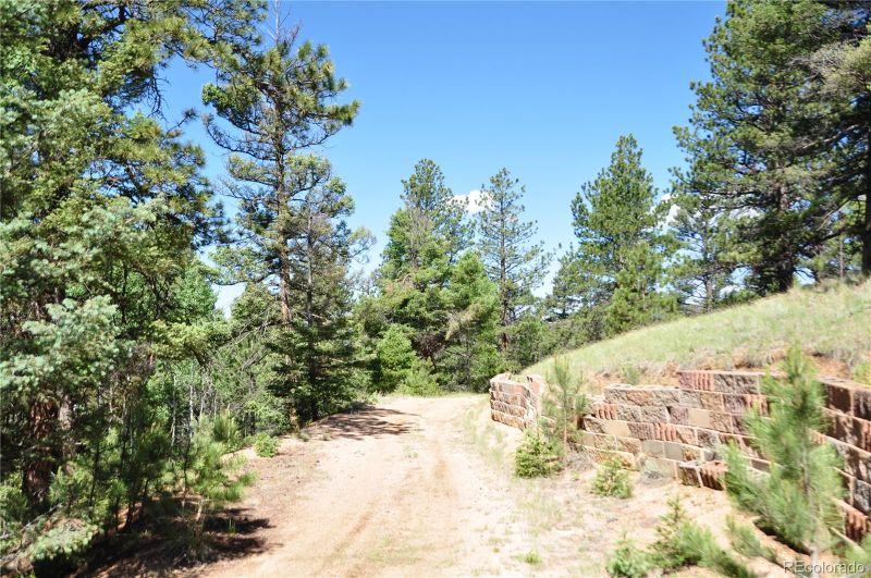 1271 Rangeview Rd, Divide, CO 80814