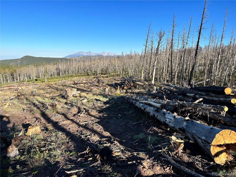 3266 Einstein Pl, Fort Garland, CO 81133