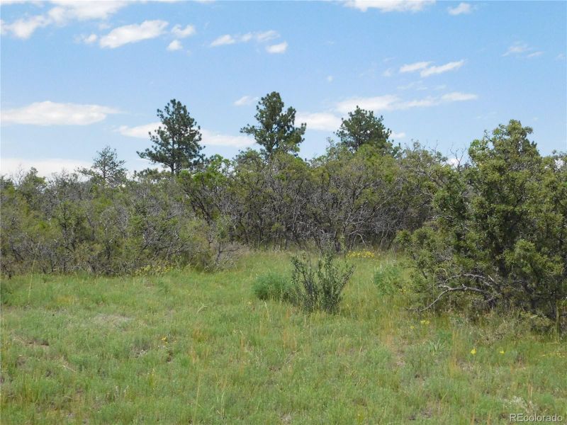 2350 Buttercup Ct, Larkspur, CO 80118