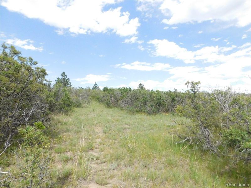 2350 Buttercup Ct, Larkspur, CO 80118