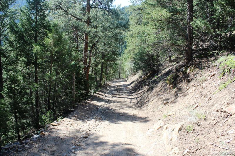 4122 Colorado 103 Lot 12994, Idaho Springs, CO 80452