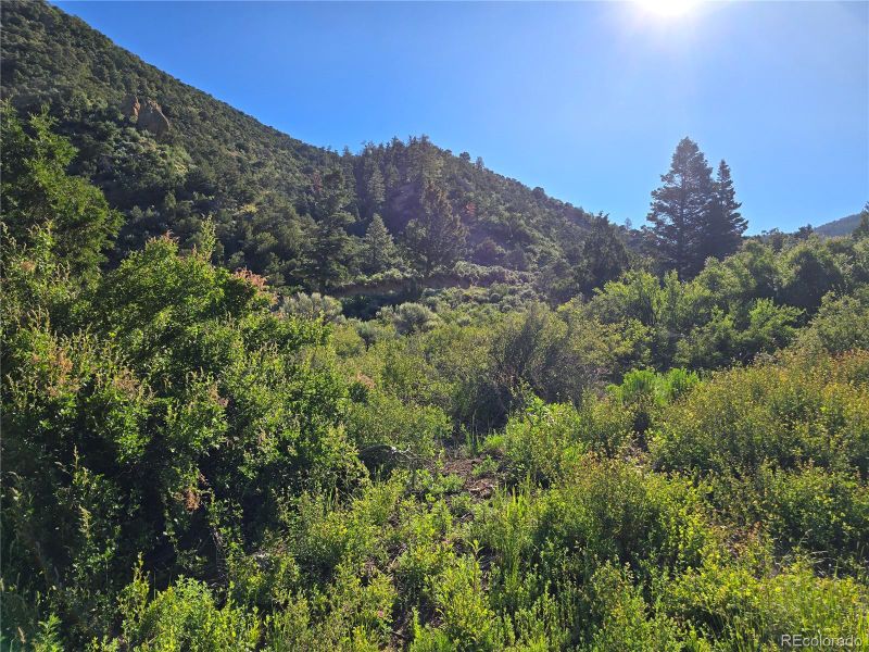 5941 Forbes Rd, San Luis, CO 81152