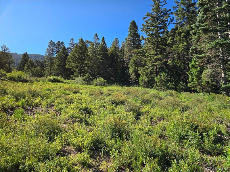 5941 Forbes Rd, San Luis, CO 81152