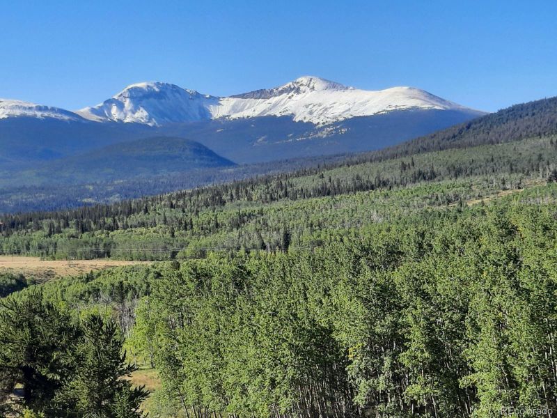 485 Meadow Dr, Fairplay, CO 80440