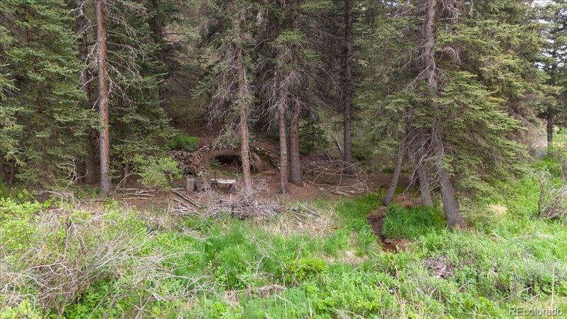 1230 Pathfinder Rd, Florissant, CO 80816